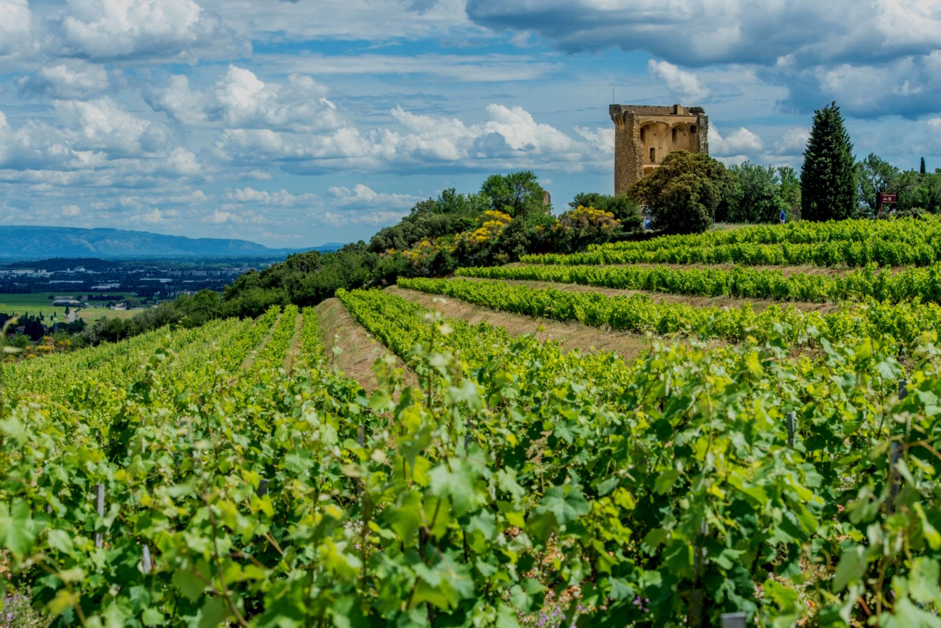 Châteauneuf du Pape