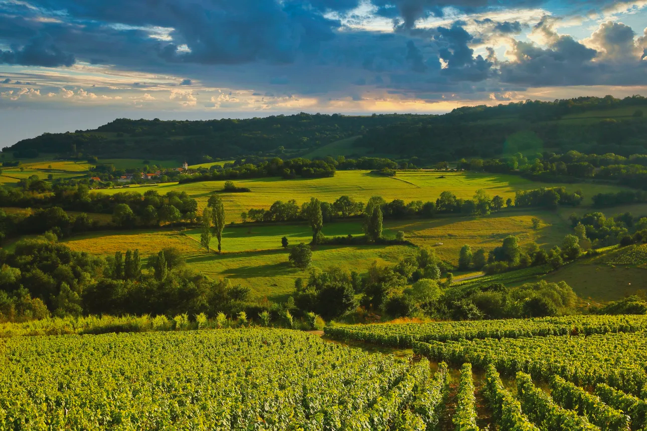 Hautes-Côtes de Nuits