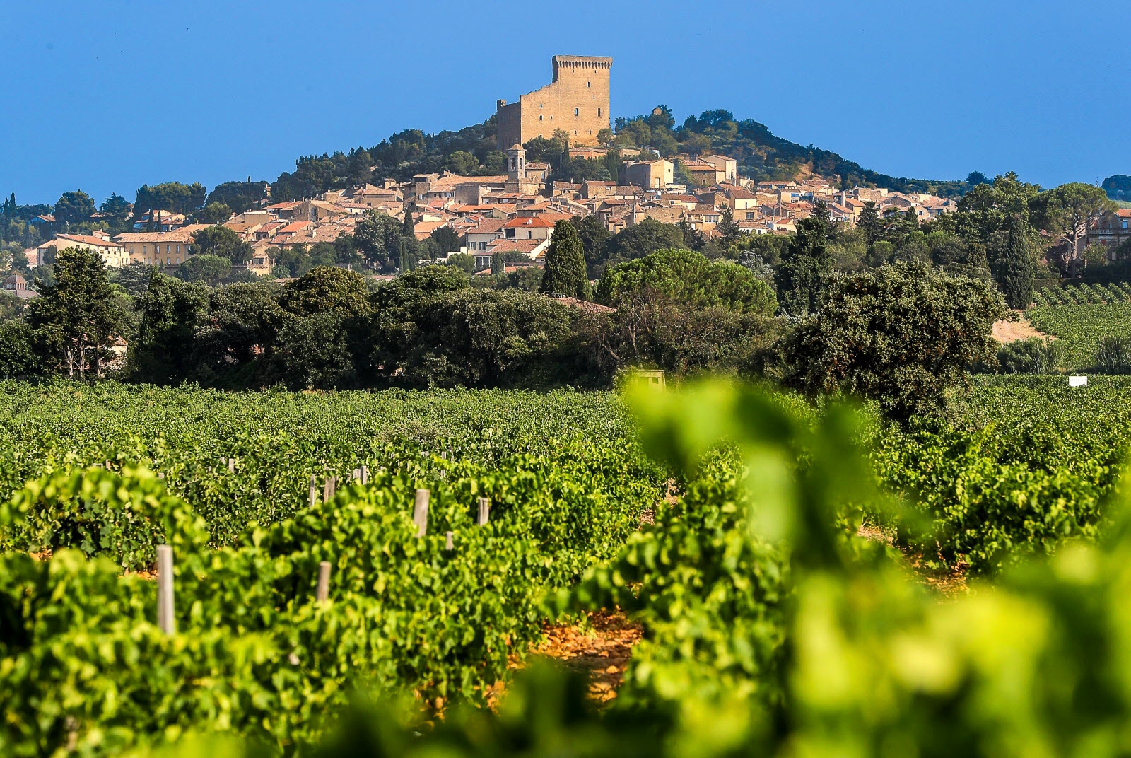 Châteaneuf-du-Pape